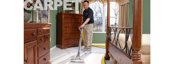 Pet Damage Carpet Repair Potomac Md Maryland Carpet Repair