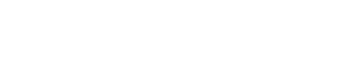 Business Review Services